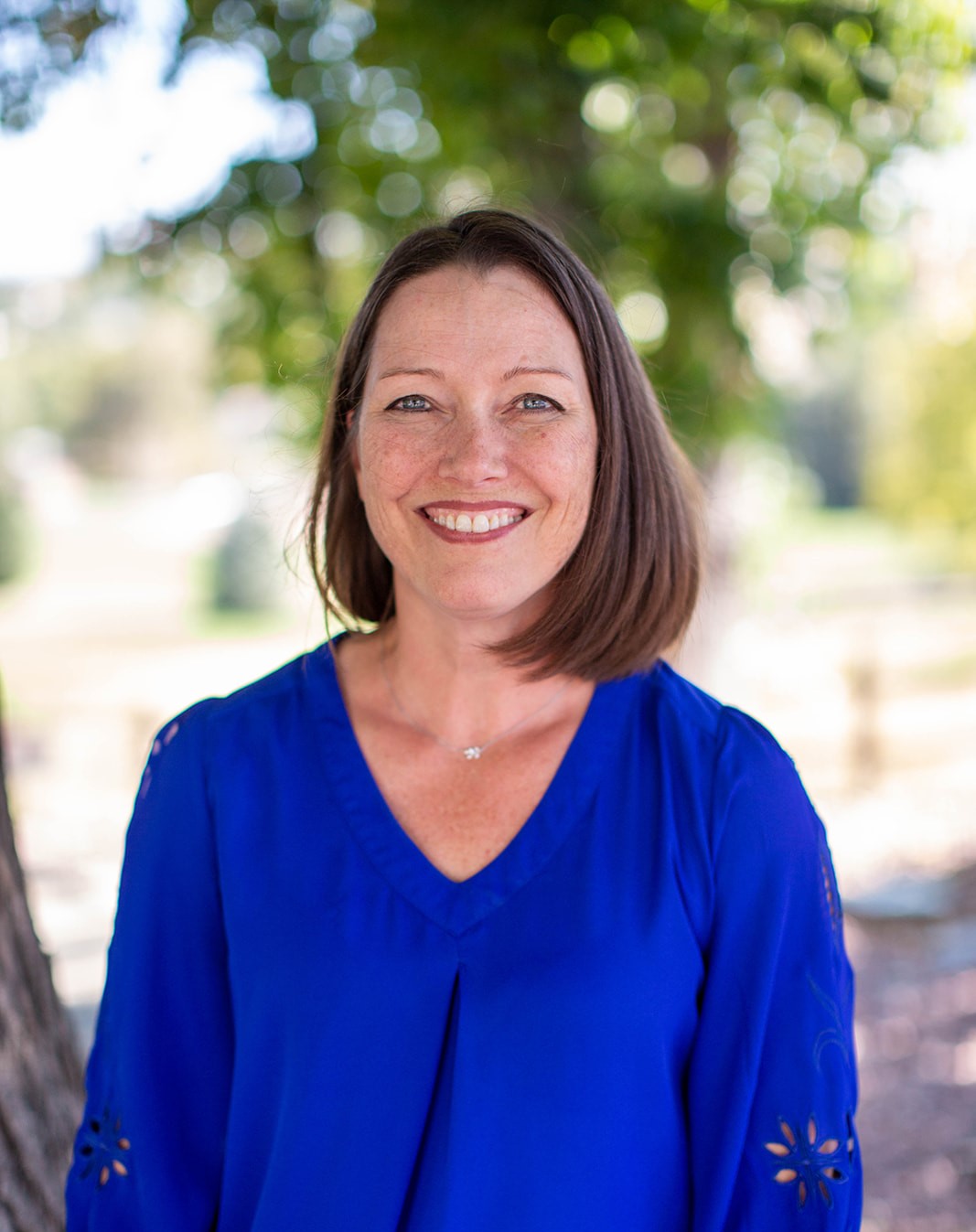 Anne Bovard NEI Electric Power Engineering, Inc.